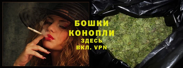 гидра Богородск
