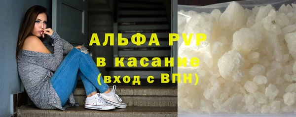 гидра Богородск
