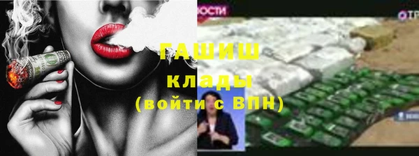 гидра Богородск