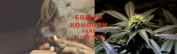 стаф Богданович