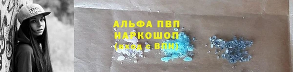 стаф Богданович