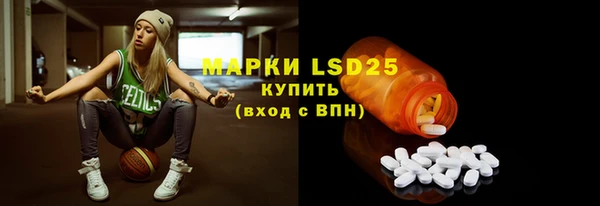 стаф Богданович