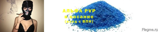 стаф Богданович