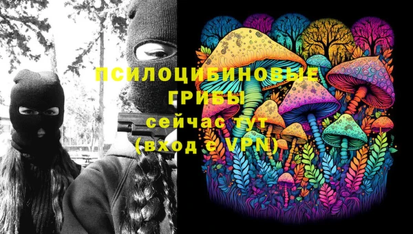 гидра Богородск