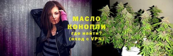 гидра Богородск
