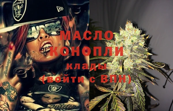 гидра Богородск