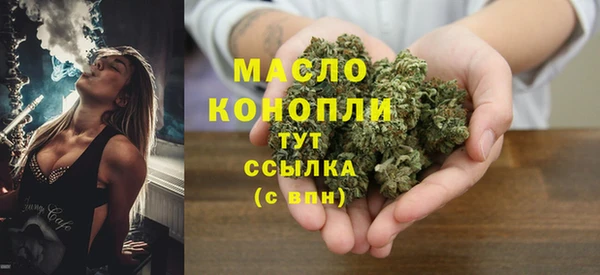 гидра Богородск